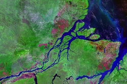 Imagen de satélite de la desembocadura del río Amazonas  