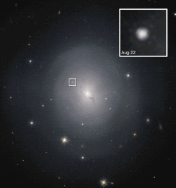 Rémanence d'une collision d'étoiles à neutrons dans NGC 4993