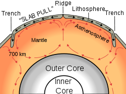 La corteza oceánica se forma en las dorsales oceánicas; la litosfera se subduce hacia la astenosfera en las fosas