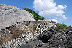 De Ordovicisch-Silurische grens, een voorbeeld van mariene transgressie zoals blootgelegd op de zuidpunt van het eiland Hovedøya, Noorwegen. Als gevolg van de plooiing van het Caledonisch gebergte zijn de lagen omgekeerd, waardoor Ordovicische korrelige kalksteen bovenop de latere Silurische bruinachtige moddersteen is komen te liggen.