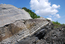 Die ordovizisch-silurische Grenze, ein Beispiel für marine Transgression, wie sie an der Südspitze der Insel Hovedøya, Norwegen, freigelegt wurde. Durch die Faltung der kaledonischen Gebirgskette wurden die Schichten umgedreht, so dass ordovizischer körniger Kalkstein aus dem Ordovizium auf dem späteren silurischen bräunlichen Schlammstein zurückblieb.