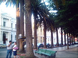 Plaza de Armas, Curicó  