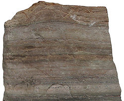 Kwarcyt, forma metamorficznego piaskowca