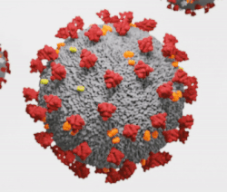 De 3D geanimeerde SARS-CoV-2 virion