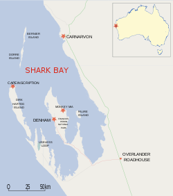 Kaart van Shark Bay gebied met Dirk Hartog Island en Cape Inscription.  