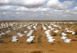 Pärast põuda ja näljahäda 2011. aasta mais ja juunis Keeniasse saadetud varjupaigakastid
