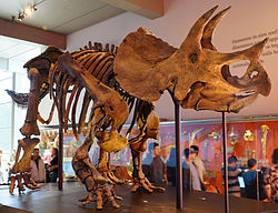 Скелет на T. horridus, монтиран със съвременна стойка на крайниците, Природонаучен музей на окръг Лос Анджелис