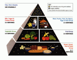 Piramida alimentară USDA din 1992.