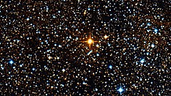 Dicht sterrenveld rond de rode hyperreus UY Scuti. Het is de helderste ster in het beeld. Genomen in het Rutherfurd Observatorium in Columbia University, New York, 2011
