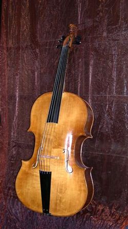 Een violone gemaakt door Amit Tiefenbrunn  