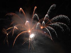 Fuochi d'artificio di Capodanno a Seaport Village, California