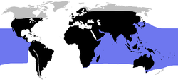 The worldwide distribution of snakes, black: terrestrial species, blue: marine species
