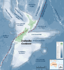 Liike Alppi-jyrkänteen varrella deformoi Zealandian mikrokontinenttia, jonka eteläosa (Tyynenmeren lautasella) liukuu luoteisosan (Indo-Australian lautasella) ohi ja hieman sen päälle.  