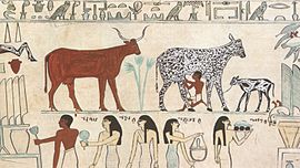 Il bestiame nell'antico Egitto