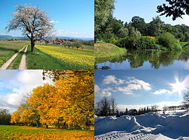 De vier seizoenen, lente, zomer, herfst en winter.