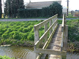 羊用の歩道橋：これはロムニー湿原の堤防を渡る多くの歩道橋の一つです。