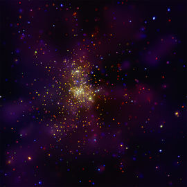 Westerlund 2 in X-rays