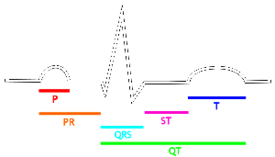 ECG - elektrocardiogram
