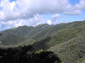 Chaparral, pohoří Santa Ynez poblíž Santa Barbary, Kalifornie