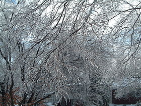 Een winterstorm in december 2004
