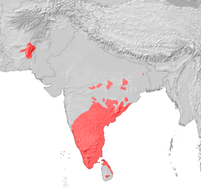 Distribution area of the Dravidian languages; in the extreme northwest (top left) the distribution area of Brahui