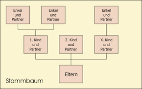 Schematic structure of a family tree