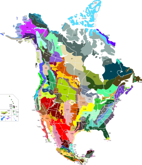The terrestrial ecological regions of North America (detailed legend to the colours in the map description)