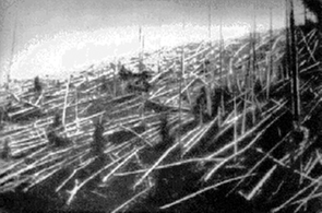 Arbres renversés, photo prise par Lenoid Kulik, en 1927