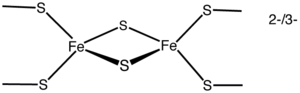 Een eenvoudige [Fe2S2]-cluster met twee ijzeratomen en twee zwavelatomen, gecoördineerd door vier eiwitcysteïneresten