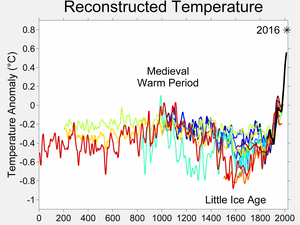 Um gráfico das temperaturas ao longo dos últimos dois mil anos de diferentes reconstruções por procuração.