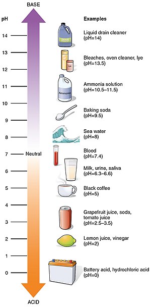 Стойности на pH на някои често срещани вещества