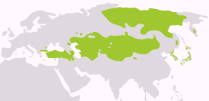 Distribuição dos idiomas Altaic em toda a Eurásia. A inclusão do japonês e do coreano, e em menor grau a existência de uma única família de idiomas Altaic, é controversa.
