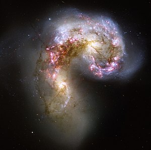 Le galassie Antenne mostrano delle esplosioni stellari durante la collisione di NGC 4038/NGC 4039. Credito: NASA/ESA