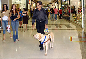 Een blinde man in een winkelcentrum wordt geleid door een geleidehond.
