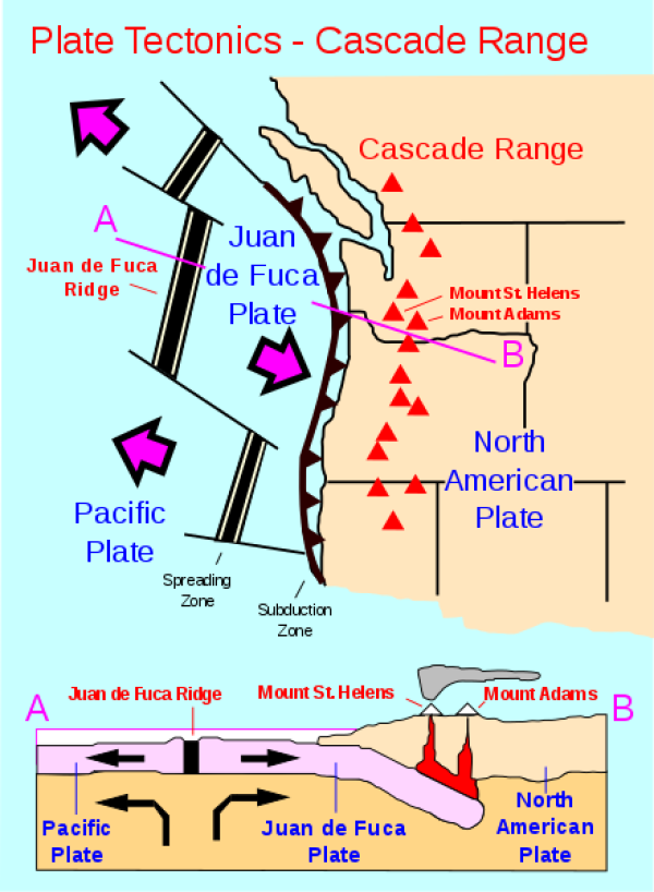Cascade Sıradağları'nın levha tektoniği. Cascade volkanları, Juan de Fuca levhasının Kuzey Amerika levhasının altına dalması (hareket etmesi) sonucunda oluşmuştur.