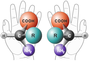 Två enantiomerer av en generisk aminosyra  