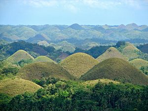 Bukit Cokelat di Bohol