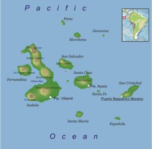 As Ilhas Galápagos estão perto do Equador, no Oceano Pacífico.