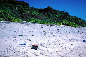 Ett foto av plastavfall på Henderson Island  