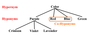 Un exemple de la relation entre les hyponymes et l'hypernym