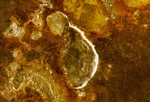 Landsat 7 beelden van Lake Mungo. De witte lijn die de oostelijke oever van het meer afbakent is de zandduin, of lunette, waar het meeste archeologisch materiaal is gevonden
