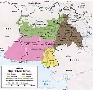 Större etniska grupper i Pakistan, 1973
