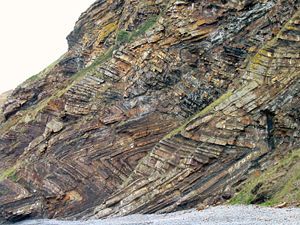Chevronske gube z ravnimi osnimi ploskvami, Millook Haven, severni Cornwall