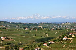 Montferrato kraštovaizdis: vaizdas iš San Marzano Oliveto, Astesan Montferrat, link Monviso