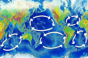 Pięć głównych żył oceanicznych
