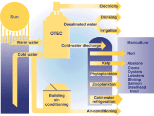Η μετατροπή θερμικής ενέργειας από τον ωκεανό χρησιμοποιεί κρύο νερό από τα βάθη του ωκεανού για την παραγωγή ηλεκτρικής ενέργειας και την καλλιέργεια τροφίμων.