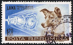 Laika, de eerste hond die de ruimte in ging, op een postzegel uit 1959 van Roemenië.
