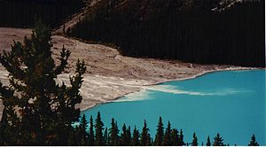 La farine de roche se déversant dans le lac Peyto