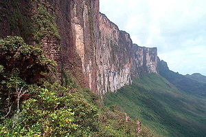 Roraimas kalna stāvā klinšu siena.