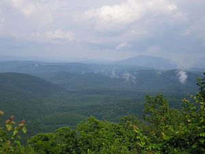 Large forested areas such as in the Ouachita Mountains are typical of the eastern part of the state.
